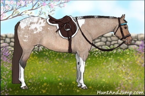 Horse Color:Bay Roan Dun Tobiano Appaloosa