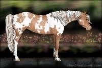 Horse Color:White Spotted Silver Brown Pearl 