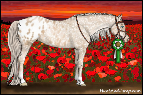 Horse Color:Chocolate Palomino Pearl Appaloosa 