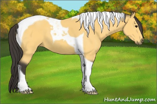 Horse Color:Buckskin Tobiano 