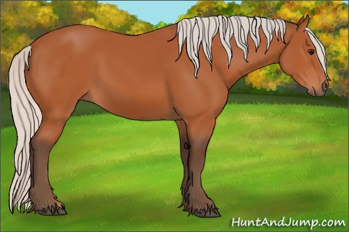Horse Color:Silver Bay