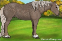 Horse Color:Silver Black 