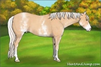 Horse Color:White Spotted Silver Amber Champagne Sabino