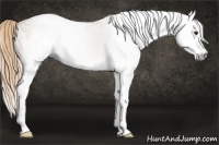 Horse Color:Gray Red Dun Splash and Gray Red Dun Splash