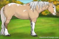 Horse Color:Silver Bay Roan Dun Splash Tobiano Rabicano 