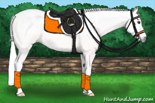 Horse Color:Gray Chestnut Sabino 