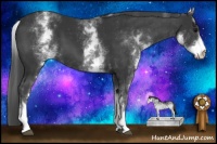 Horse Color:White Spotted Black 