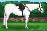 Horse Color:Gray Chestnut Tobiano Frame 