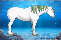 Horse Color:Painted White Spotted Silver Sable Champagne Dun Splash Tobiano Frame Appaloosa Rabicano 