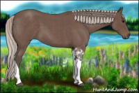 Horse Color:Silver Blue Roan Tobiano 