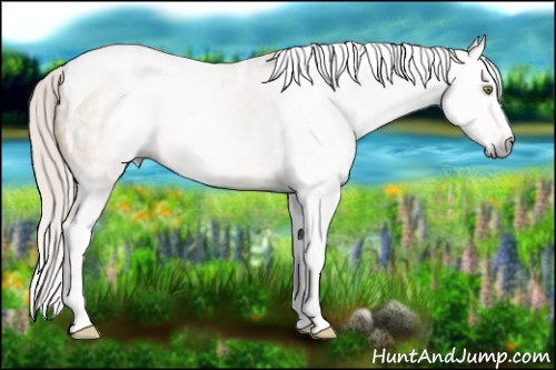 Horse Color:Gray Silver Sable Champagne Dun Splash Tobiano 
