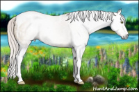 Horse Color:Gray Silver Sable Champagne Dun Splash Tobiano 