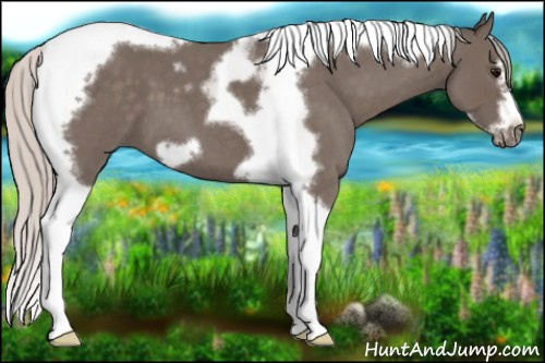 Horse Color:Silver Blue Roan Tobiano Frame