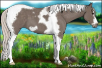 Horse Color:Silver Blue Roan Tobiano Frame