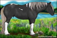 Horse Color:Gray Silver Black Tobiano