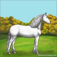 Horse Color:Black Sabino Splash Tobiano