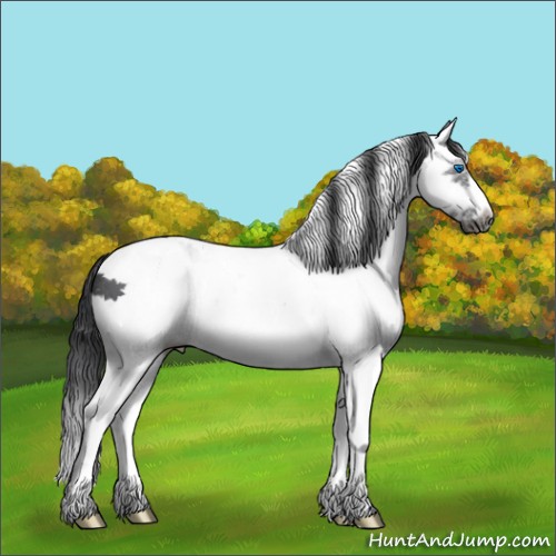 Horse Color:White Spotted Black Splash Frame