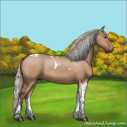 Horse Color:Silver Bay Dun Tobiano Rabicano