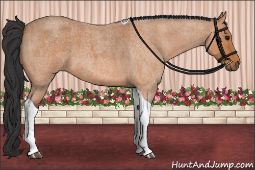 Horse Color:Bay Roan Tobiano
