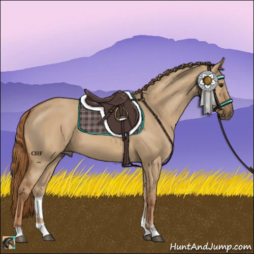 Horse Color:Red Dun Sabino 