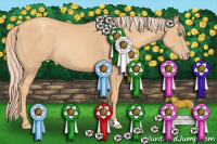 Horse Color:Gold Champagne Rabicano
