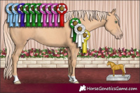 Horse Color:Gold Champagne Rabicano 