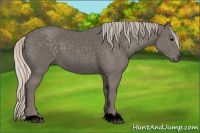 Horse Color:Void Silver Black 
