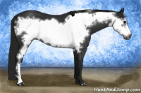 Horse Color:Gray Blue Roan Frame 