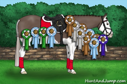 Horse Color:Liver Chestnut Splash 