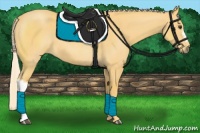 Horse Color:Palomino 