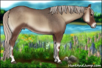 Horse Color:Silver Blue Onyx 