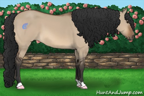 Horse Color:Bay Dun
