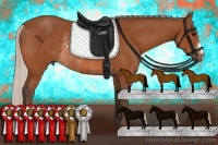 Horse Color:Silver Bay Rabicano