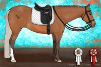 Horse Color:Silver Bay 