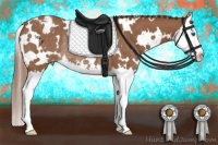 Horse Color:White Spotted Chestnut Splash Appaloosa Rabicano