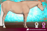Horse Color:Silver Classic Champagne 