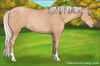 Horse Color:Silver Sable Champagne Rabicano 