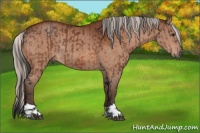 Horse Color:Brown Rabicano  and Silver Brown Rabicano 