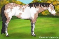 Horse Color:Bay Ice Frame 