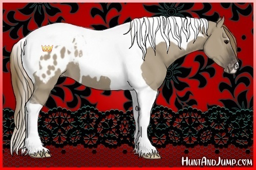 Horse Color:Smoky Grullo Tobiano Blanket