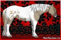 Horse Color:Smoky Grullo Tobiano Blanket 