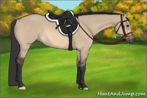 Horse Color:Bay Dun