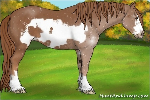 Horse Color:Chestnut Frame 