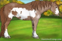 Horse Color:Chestnut Frame