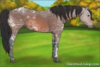 Horse Color:Brown Ice 