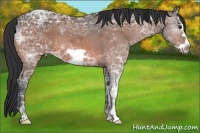 Horse Color:Bay Ice Frame 