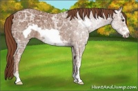 Horse Color:Chestnut Ice Frame