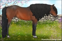 Horse Color:Bay and Bay