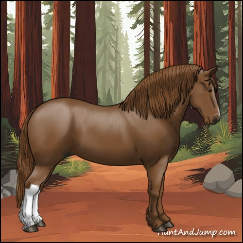 Horse Color:Gray Chestnut 