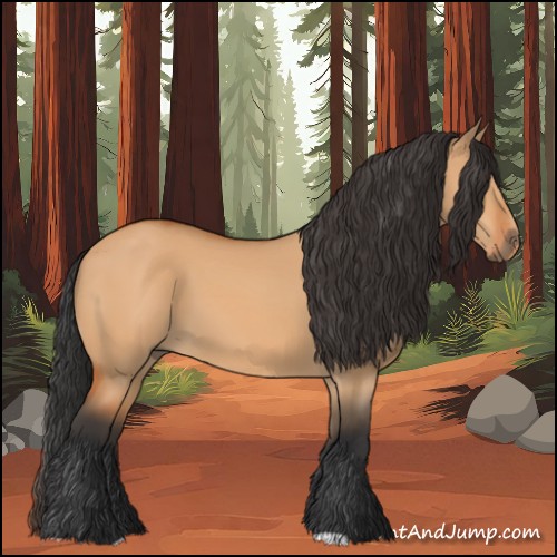Horse Color:Bay Dun 